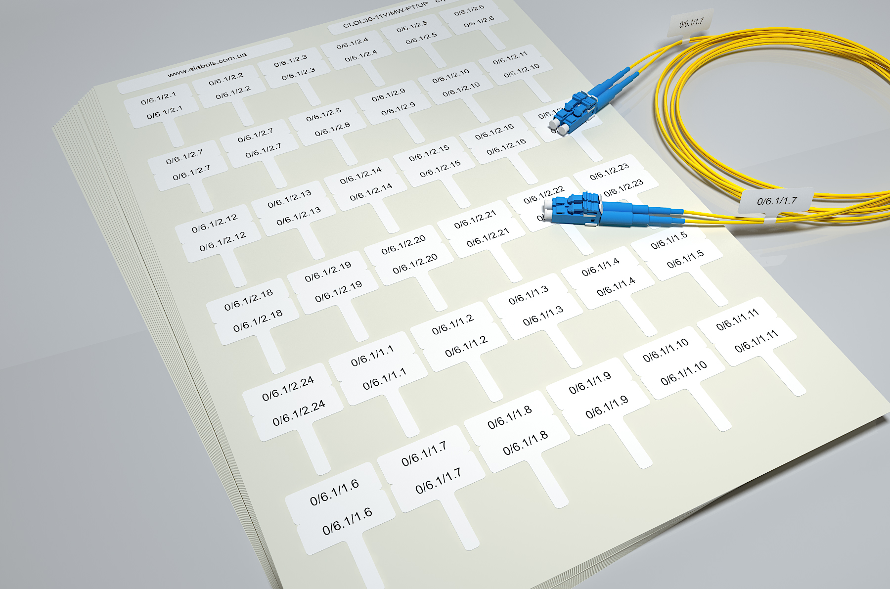 Варианты поставки этикеток и оборудование для их печати